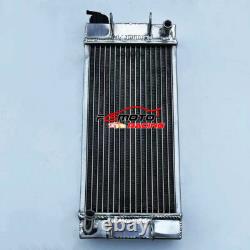 41cm x 18cm Aluminum Radiator FOR Go Kart Iame X30 With Hose Fittings Pump Thermo