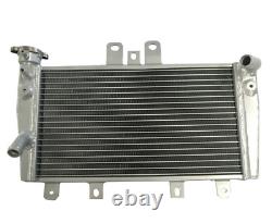 Alloy Aluminum Radiator For Triumph Speed 1050 Triple 05 06 07 08 09 10 Silver