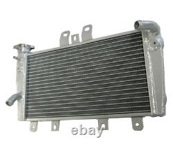 Alloy Aluminum Radiator For Triumph Speed 1050 Triple 05 06 07 08 09 10 Silver