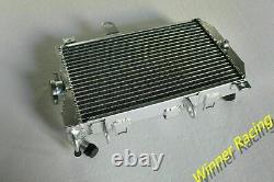 Alloy Radiator Fit Suzuki BURGMAN 650 ABS AN650/AN650Z 2003-2012 WithSensor Hole