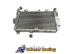 Alloy Radiator for Suzuki BURGMAN 650 AN650/AN650A 2003-2012