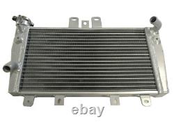 Radiateur en alliage d'aluminium pour Triumph Speed 1050 Triple 05 06 07 08 09 10 Argent