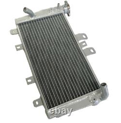 Radiateur en alliage d'aluminium pour Triumph Speed 1050 Triple 05 06 07 08 09 10 Argent