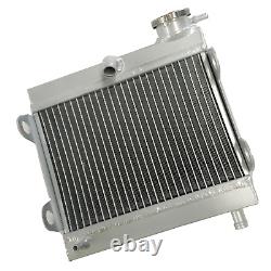 Radiateur en alliage d'aluminium pour Yamaha TZ 250 & TZ350 1976 1977 1978 1979 1980 Neuf