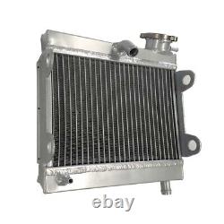 Radiateur en alliage d'aluminium pour Yamaha TZ 250 & TZ350 1976 1977 1978 1979 1980 Neuf