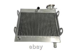 Radiateur en alliage d'aluminium pour Yamaha TZ 250 & TZ350 1976 1977 1978 1979 1980 Neuf