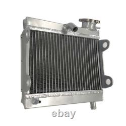 Radiateur en alliage d'aluminium pour Yamaha TZ 250 et TZ350 1976 1977 1978 1979 1980 neuf