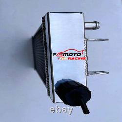 Radiateur en aluminium de 41 cm x 18 cm POUR Karting Go Iame X30 Avec Raccords de tuyaux Pompe Thermo